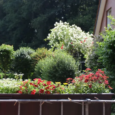 Gasthof Waldesruh 3* Saerbeck